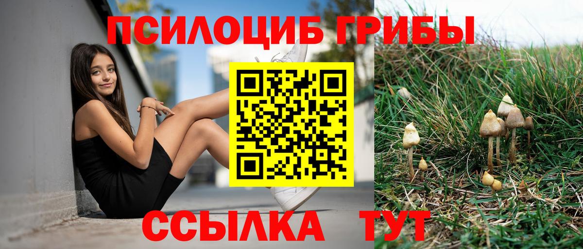 Кириши  Псилоцибиновые грибы Magic Shrooms  Вход с VPN 