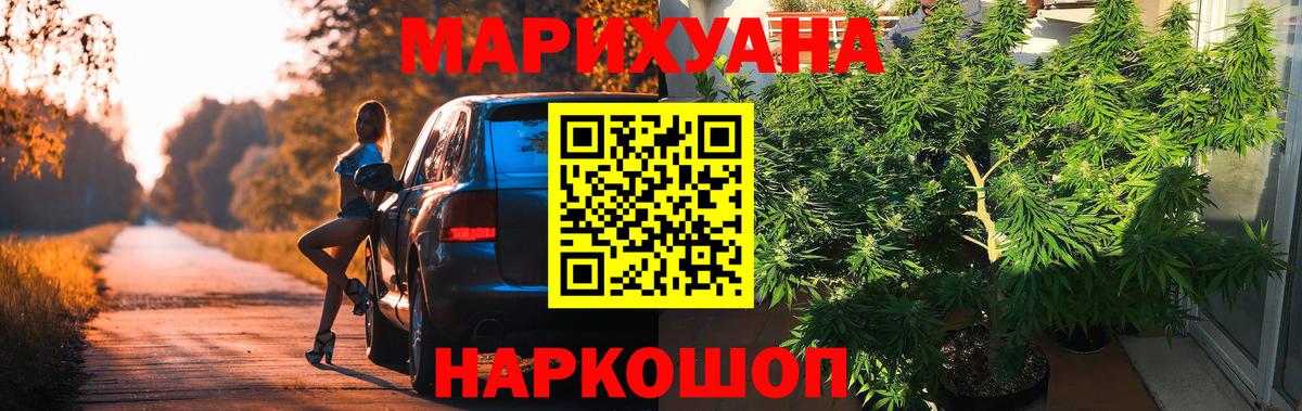 Марихуана гибрид  Канабис гибрид  Кириши  Вход с VPN  Конопля тримм  Шишки марихуана семена 